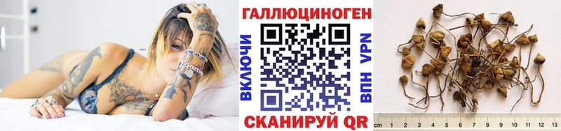 Галлюциногенные грибы прущие грибы Каменск-Уральский