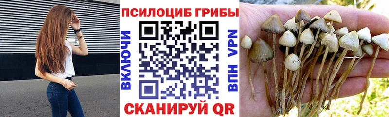 мега Каменск-Уральский Галлюциногенные грибы прущие грибы